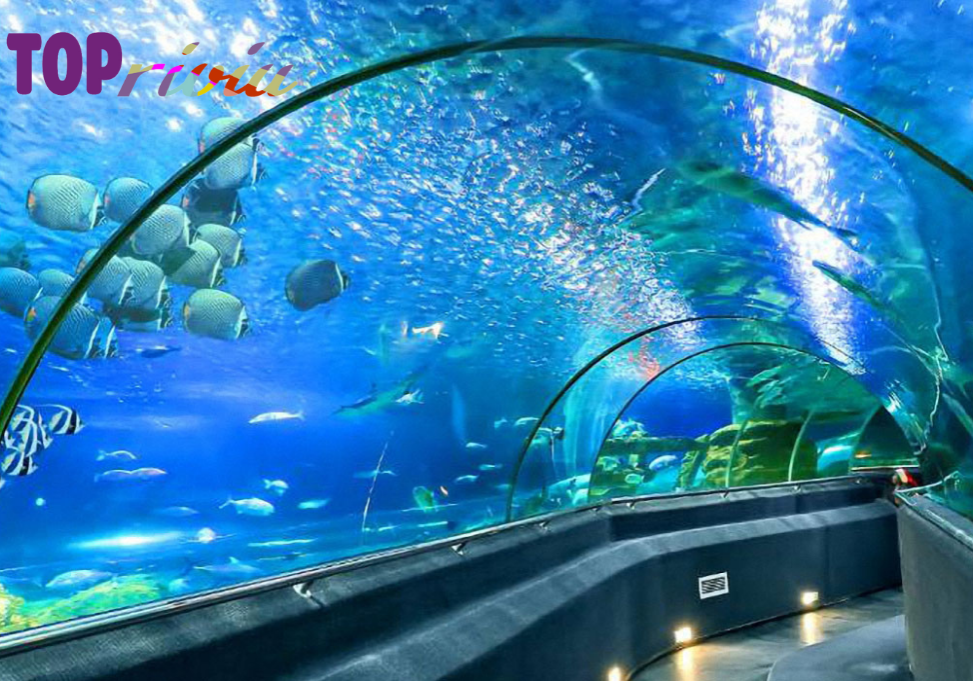 Địa điểm du lịch Sài Gòn cuối tuần - Thủy cung trong khu du lịch Suối Tiên 1